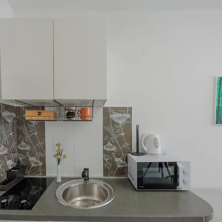 招待所 阿森纳住宿旅馆 3*